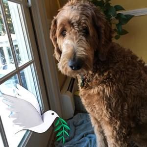 Meet your Posher, Deborah